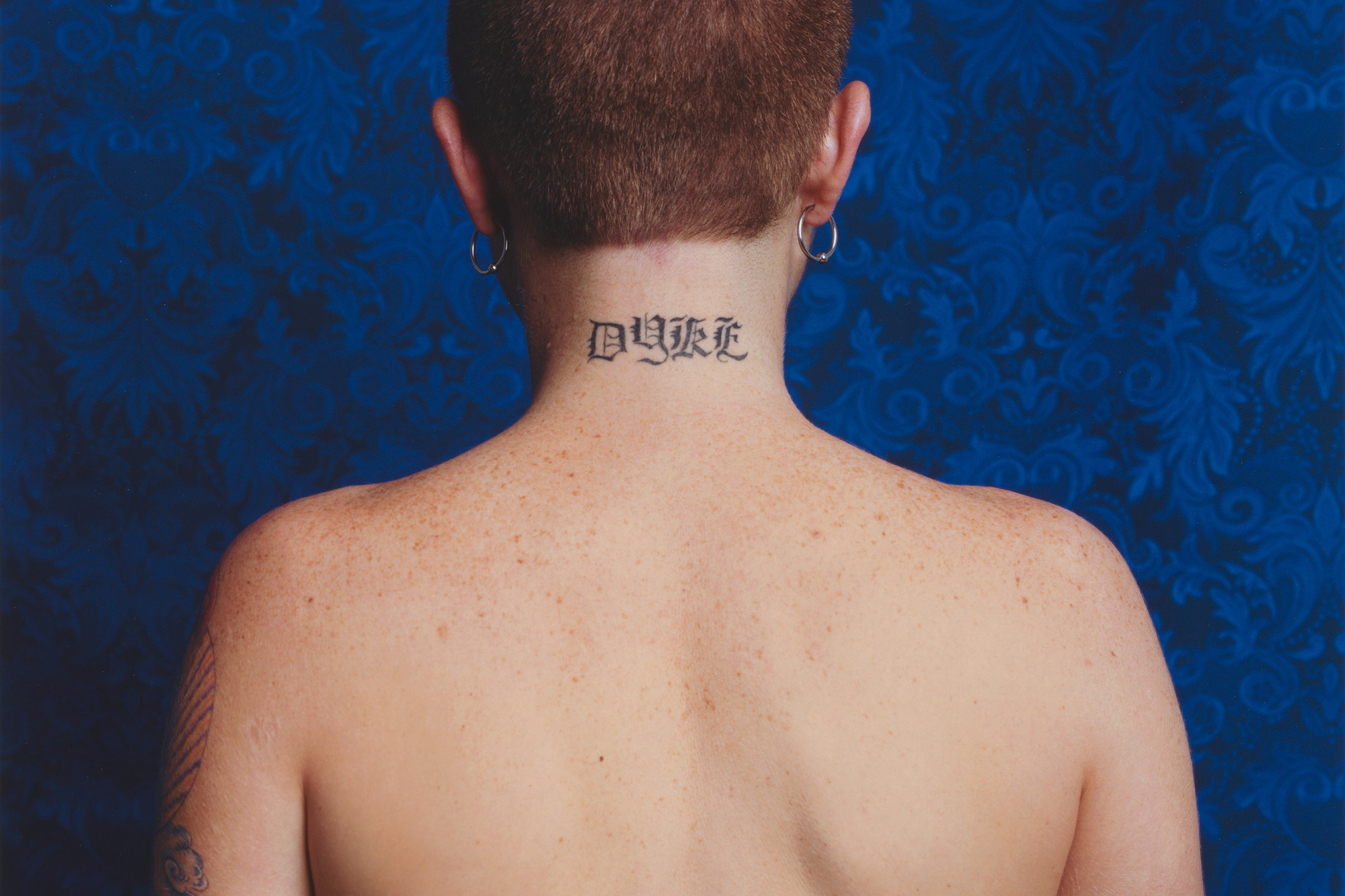Catherine Opie. Dyke. 1993. Chromogenic color print, 40 × 30" (101.6 × 76.2 cm). Committee on Photography Fund and gift of Agnes Gund. © 2019 Catherine Opie