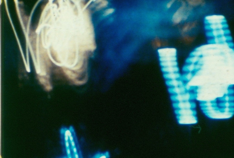 The Thatch of Night. 1990. USA. Directed by Stan Brakhage. Courtesy the Estate of Stan Brakhage and Fred Camper
