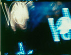 The Thatch of Night. 1990. USA. Directed by Stan Brakhage. Courtesy the Estate of Stan Brakhage and Fred Camper