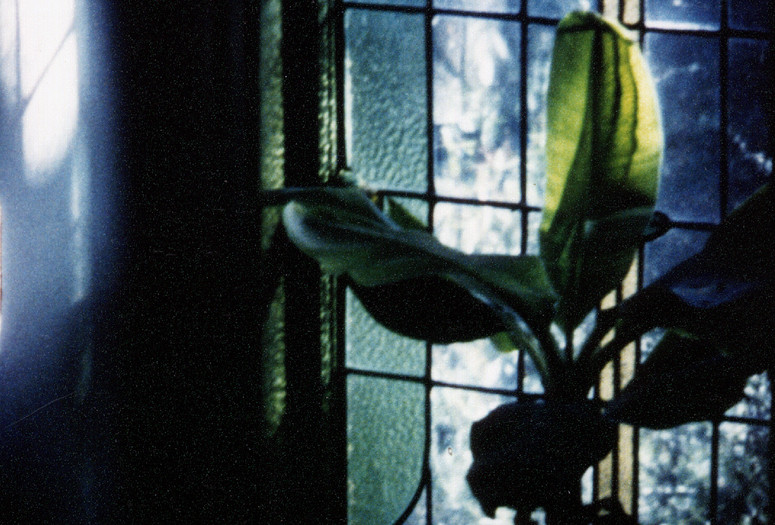 Articulated Image. 1996. Australia. Directed by Arthur Cantrill, Corinne Cantrill. Courtesy the artists