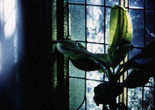 Articulated Image. 1996. Australia. Directed by Arthur Cantrill, Corinne Cantrill. Courtesy the artists