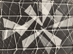 Gertrudes Altschul. Untitled. c. 1952. Gelatin silver print, 11 5/8 × 15 9/16&#34; (29.5 × 39.5 cm). Acquired through the generosity of Ian Cook. © 2019 Estate of Gertrudes Altschul