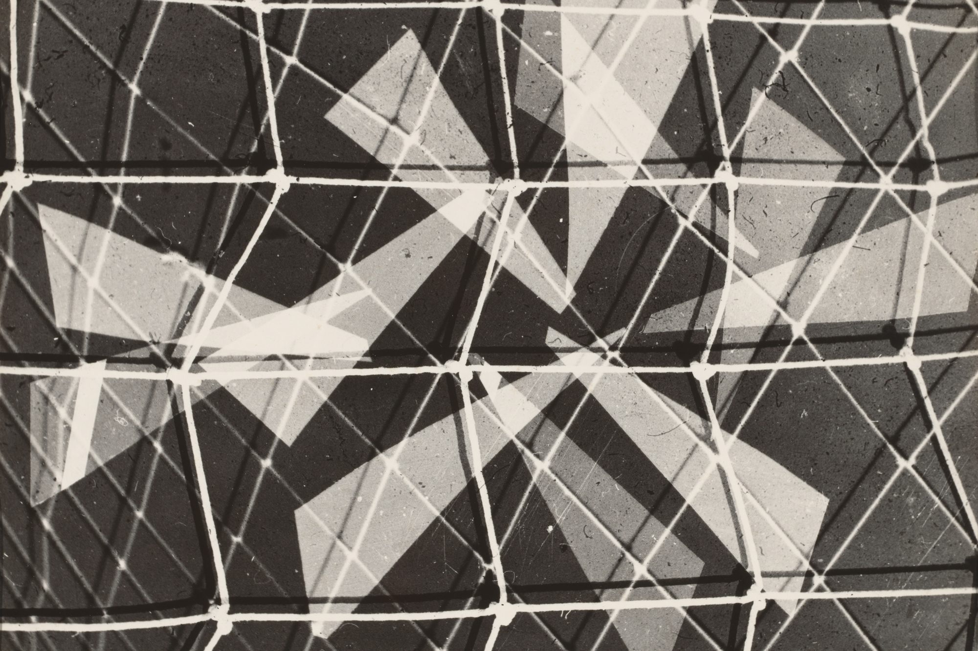 Gertrudes Altschul. Untitled. c. 1952. Gelatin silver print, 11 5/8 × 15 9/16" (29.5 × 39.5 cm). Acquired through the generosity of Ian Cook. © 2019 Estate of Gertrudes Altschul