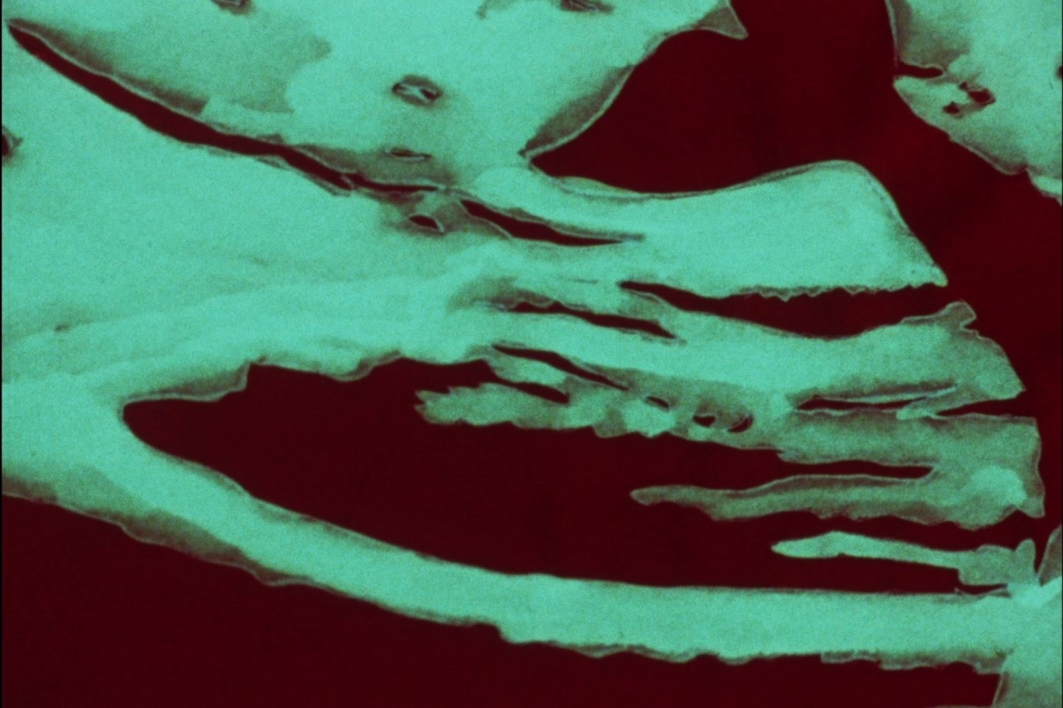 Whale Songs. 1979. USA. Directed by Mary Beams
