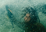 Monos. 2018. Colombia/Argentina/Netherlands/Germany/Sweden/Uruguay. Directed by Alejandro Landes. Courtesy NEON