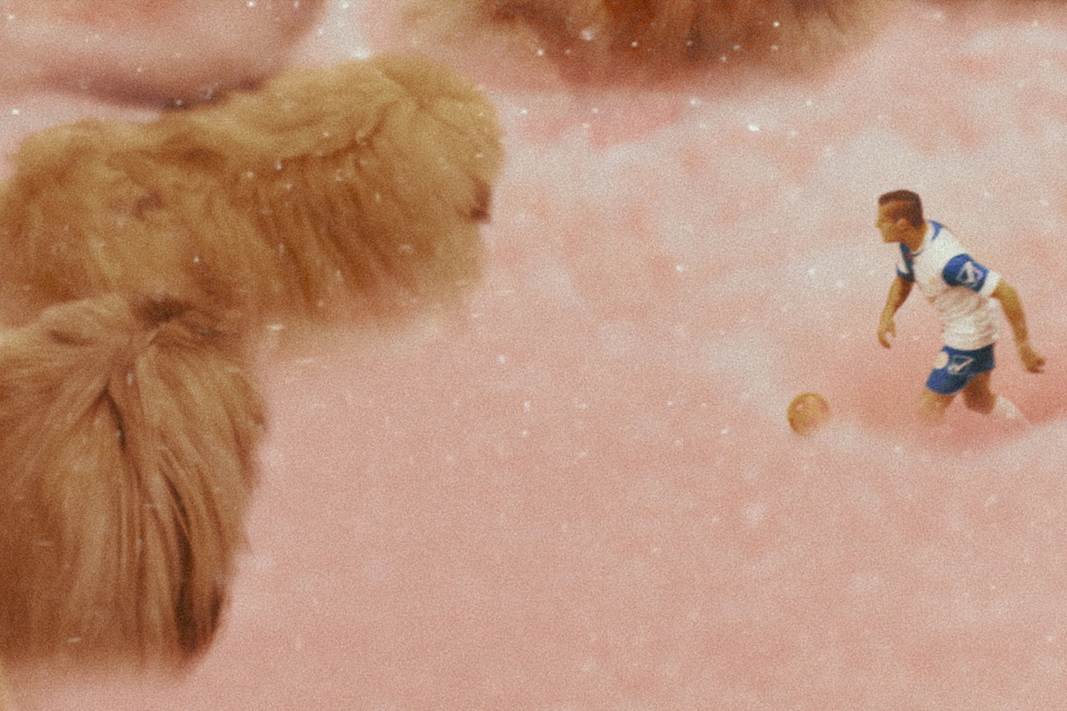 Diamantino. 2018. Portugal/France/Brazil. Directed by Gabriel Abrantes, Daniel Schmidt. Portuguese with English subtitiles. Courtesy Kino Lorber