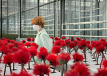 Little Joe. 2019. Austria/UK/Germany. Directed by Jessica Hausner. Courtesy Magnolia Pictures