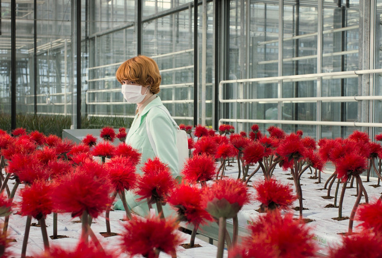 Little Joe. 2019. Austria/UK/Germany. Directed by Jessica Hausner. Courtesy Magnolia Pictures