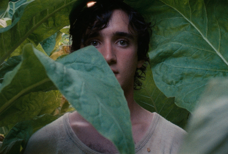 Lazzaro Felice (Happy as Lazzaro). 2018. Italy. Directed by Alice Rohrwacher. Courtesy of Netflix