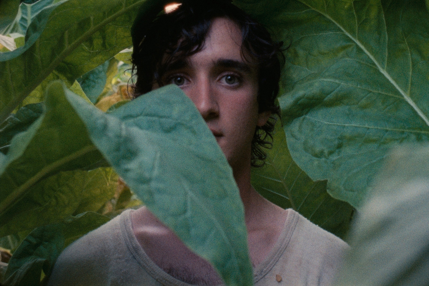 Lazzaro Felice (Happy as Lazzaro). 2018. Italy. Directed by Alice Rohrwacher. Courtesy of Netflix