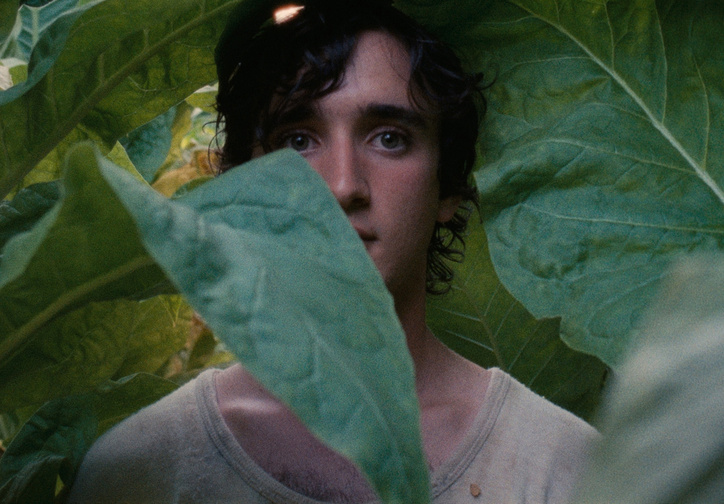 Lazzaro Felice (Happy as Lazzaro). 2018. Italy. Directed by Alice Rohrwacher. Courtesy of Netflix