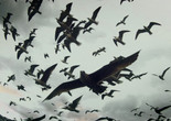 Leviathan. 2012. USA/France/Great Britain. Directed by Lucien Castaing-Taylor, Véréna Paravel. Courtesy Cinema Guild