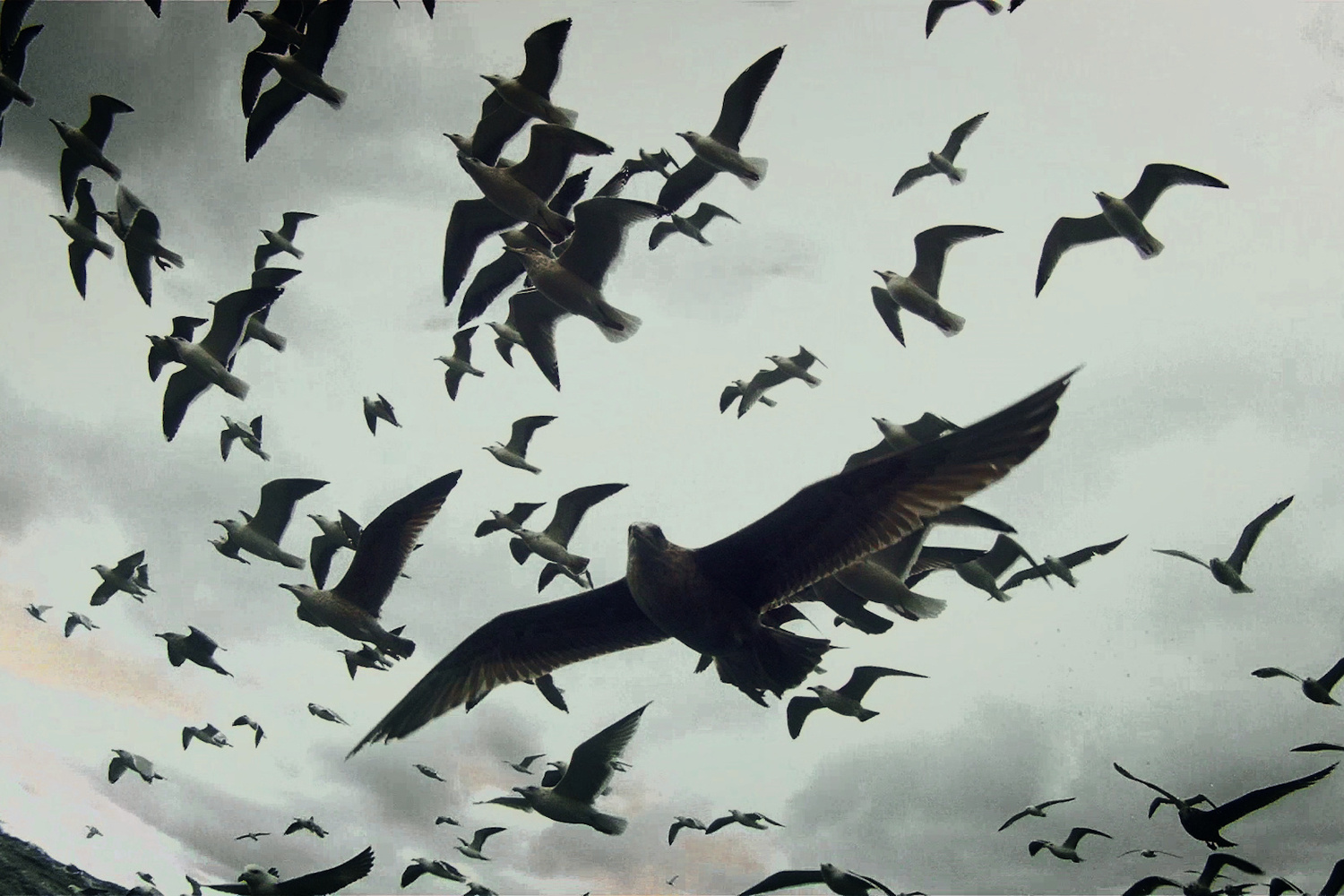 Leviathan. 2012. USA/France/Great Britain. Directed by Lucien Castaing-Taylor, Véréna Paravel. Courtesy Cinema Guild