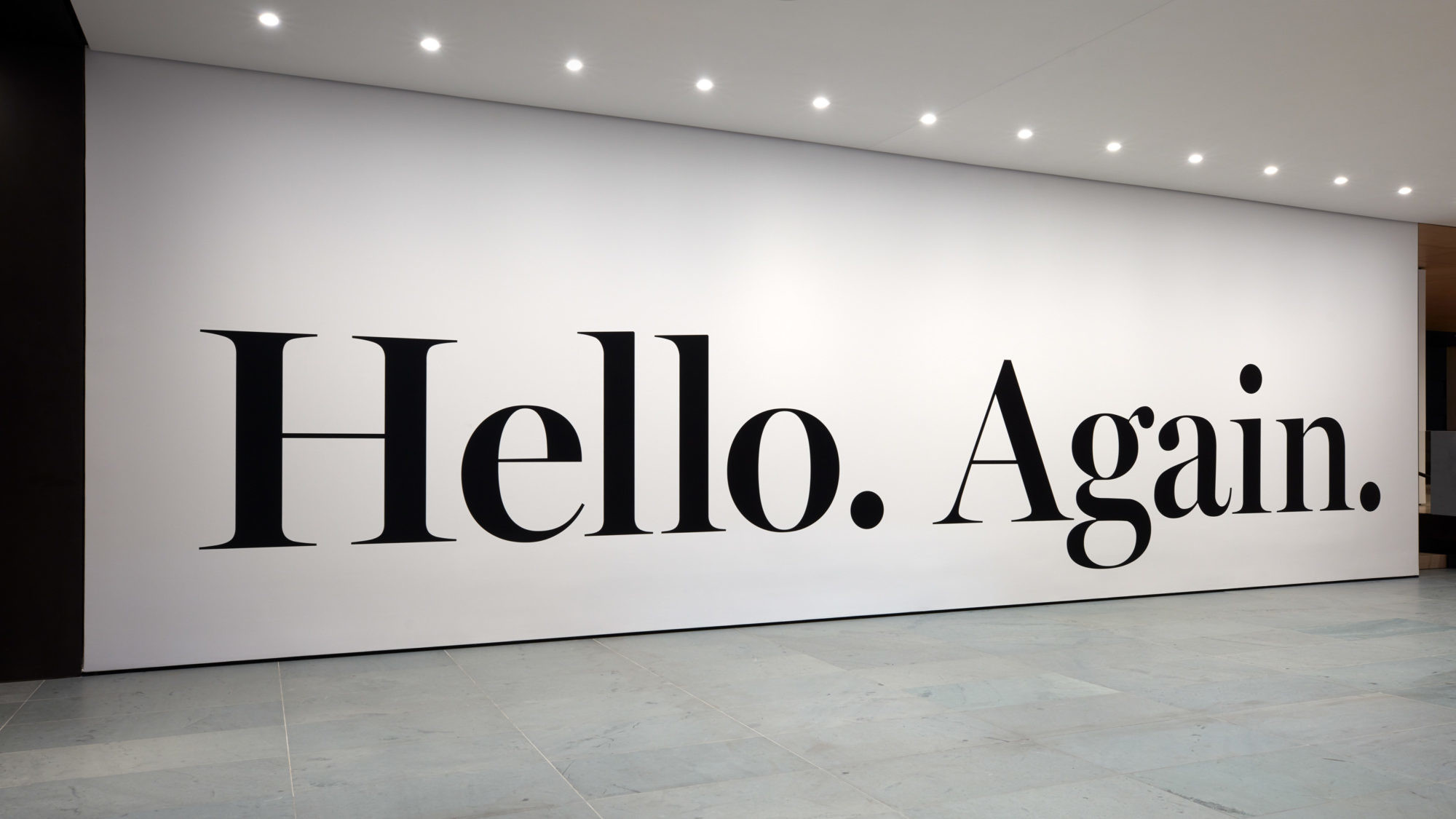 Installation view of Haim Steinbach’s hello again (2013)