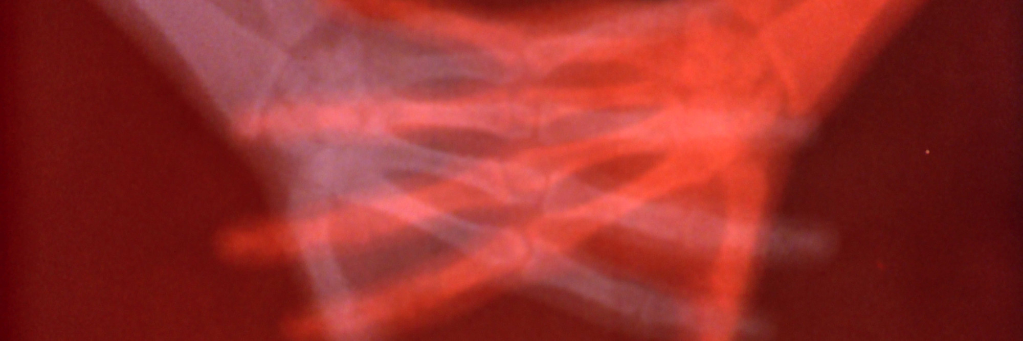Sanctus. 1990. USA. Directed by Barbara Hammer. Courtesy Electronic Arts Intermix (EAI), New York