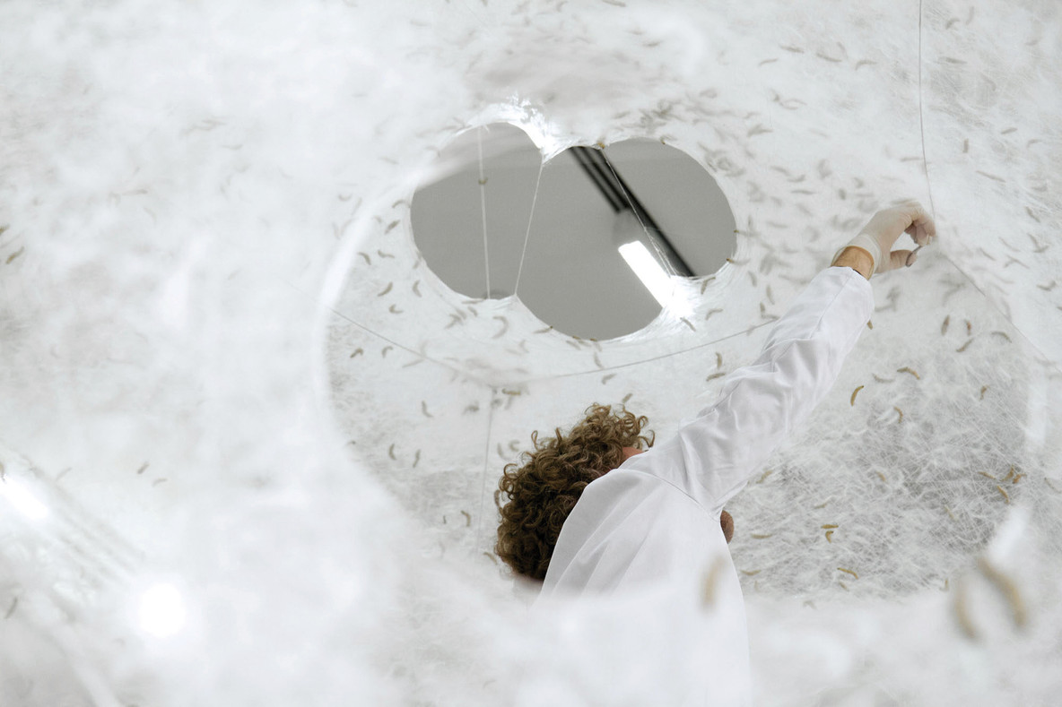 Neri Oxman and The Mediated Matter Group. Silk Pavilion. 2013