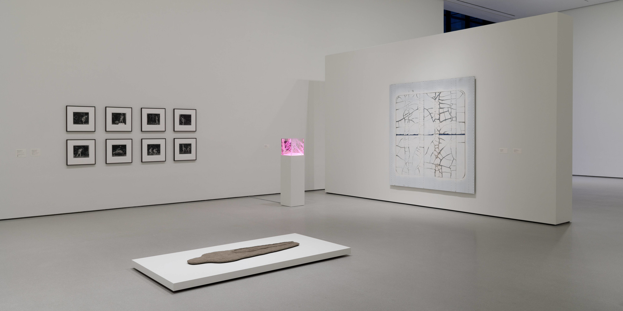 Installation view of the exhibition Studio Visit: Selected Gifts from Agnes Gund, The Museum of Modern Art, April 29–July 22, 2018. Photo: Denis Doorly