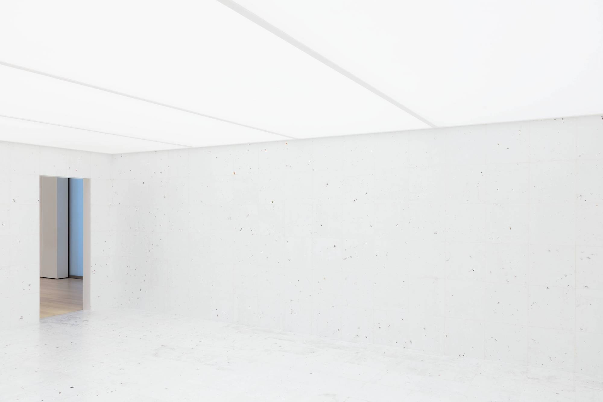 Rivane Neuenschwander. Work of Days. 1998