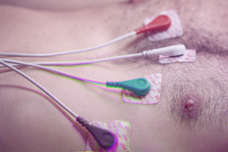 Shahryar Nashat. Force Life. 2020. The Museum of Modern Art. © 2019 Shahryar Nashat, Photo: Will Davidson