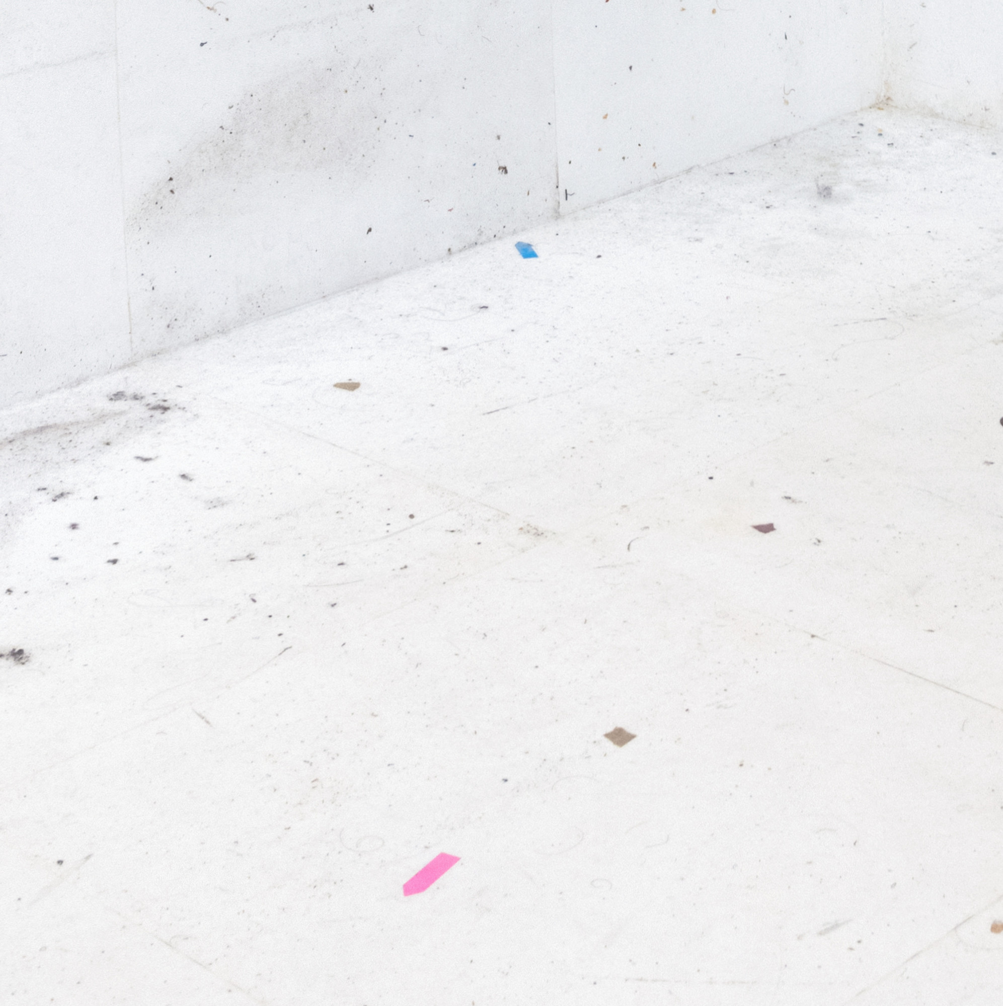 Rivane Neuenschwander. Work of Days (detail). 1998. Photo: Alejandro Merizalde