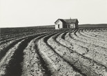 Dorothea Lange. Tractored Out, Childress County, Texas. 1938. Gelatin silver print, 9 5/16 x 12 13/16″ (23.6 x 32.6 cm). The Museum of Modern Art, New York. Purchase