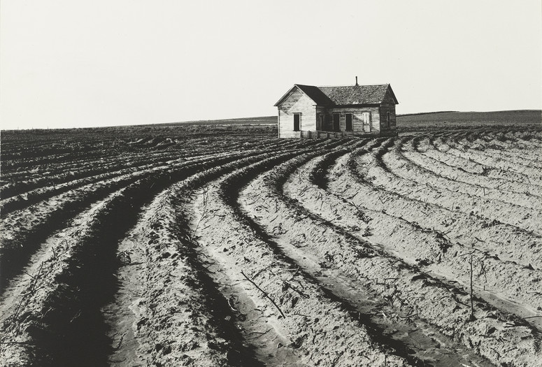 Dorothea Lange. Tractored Out, Childress County, Texas. 1938. Gelatin silver print, 9 5/16 x 12 13/16″ (23.6 x 32.6 cm). The Museum of Modern Art, New York. Purchase