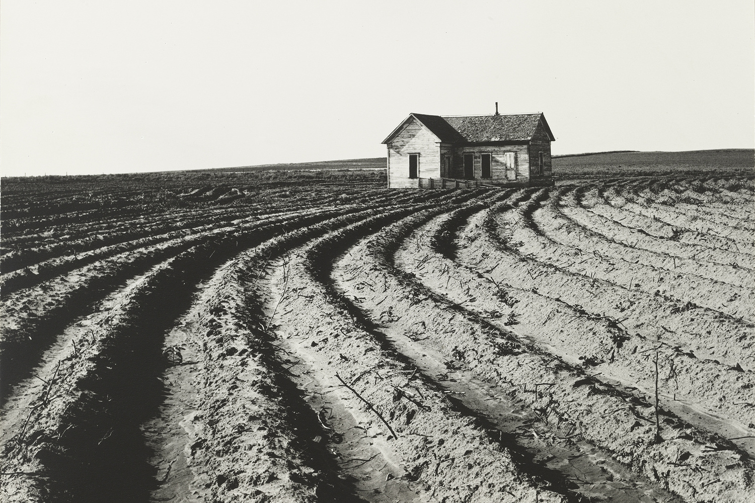 Dorothea Lange. Tractored Out, Childress County, Texas. 1938. Gelatin silver print, 9 5/16 x 12 13/16″ (23.6 x 32.6 cm). The Museum of Modern Art, New York. Purchase