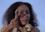 Night of the Cobra Woman. 1971. USA/Philippines. Directed by Andrew Meyer. Courtesy Shout Factory