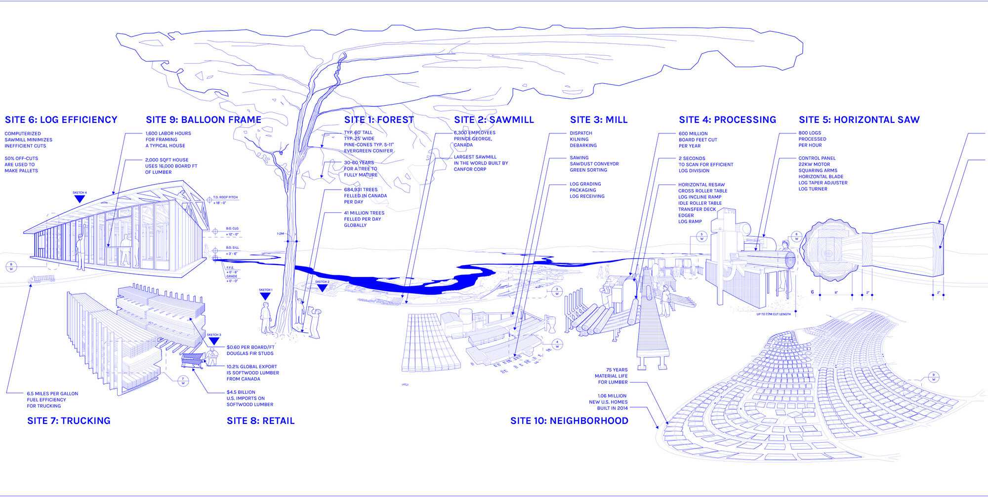 Three Material Stories: Wood. Image by Lindsey Wikstrom and the Columbia GSAPP Embodied Energy Pilot Project.