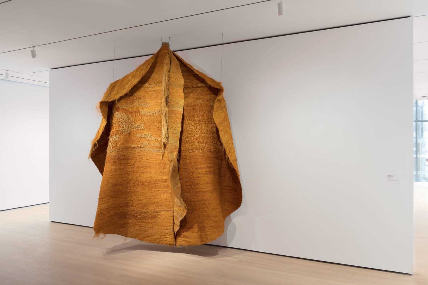 Installation view of the exhibition Taking a Thread for a Walk, October 21, 2019–May 17, 2020. The Museum of Modern Art, New York. Digital Image © 2020 The Museum of Modern Art, New York. Photo: Denis Doorly