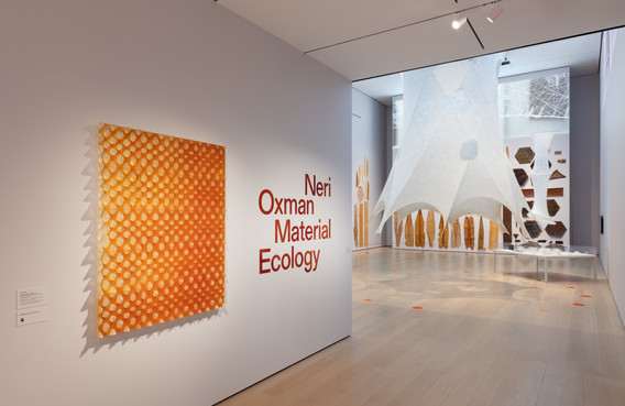 Installation view of Neri Oxman: Material Ecology, The Museum of Modern Art, New York, February 22, 2020 – May 25, 2020. © 2020 The Museum of Modern Art. Photo: Denis Doorly