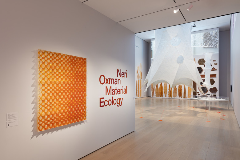 Installation view of Neri Oxman: Material Ecology, The Museum of Modern Art, New York, February 22, 2020 – May 25, 2020. © 2020 The Museum of Modern Art. Photo: Denis Doorly
