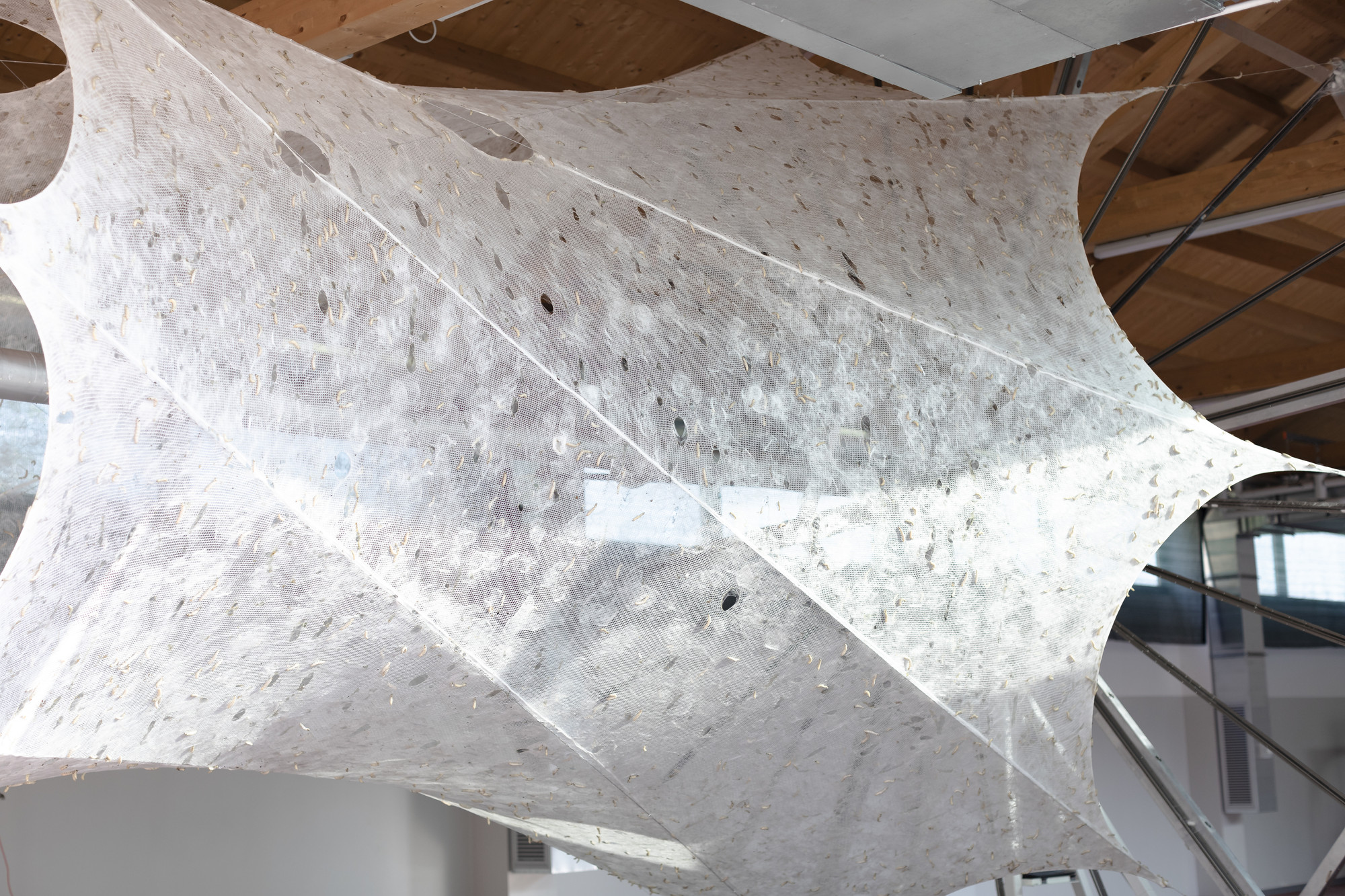 Neri Oxman and The Mediated Matter Group. Silk Pavilion II. 2019. Courtesy Neri Oxman and The Mediated Matter Group