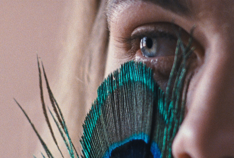 The Metamorphosis of Birds. 2020. Portugal. Directed by Catarina Vasconcelos. Courtesy Portugal Film