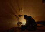 Sun Dog. 2020. Belgium/Russia. Directed by Dorian Jespers. Courtesy Square Eyes