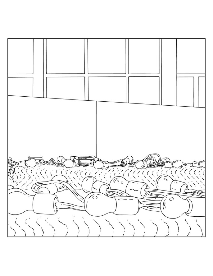 Bulbs (traced). 2005/2006/2019
