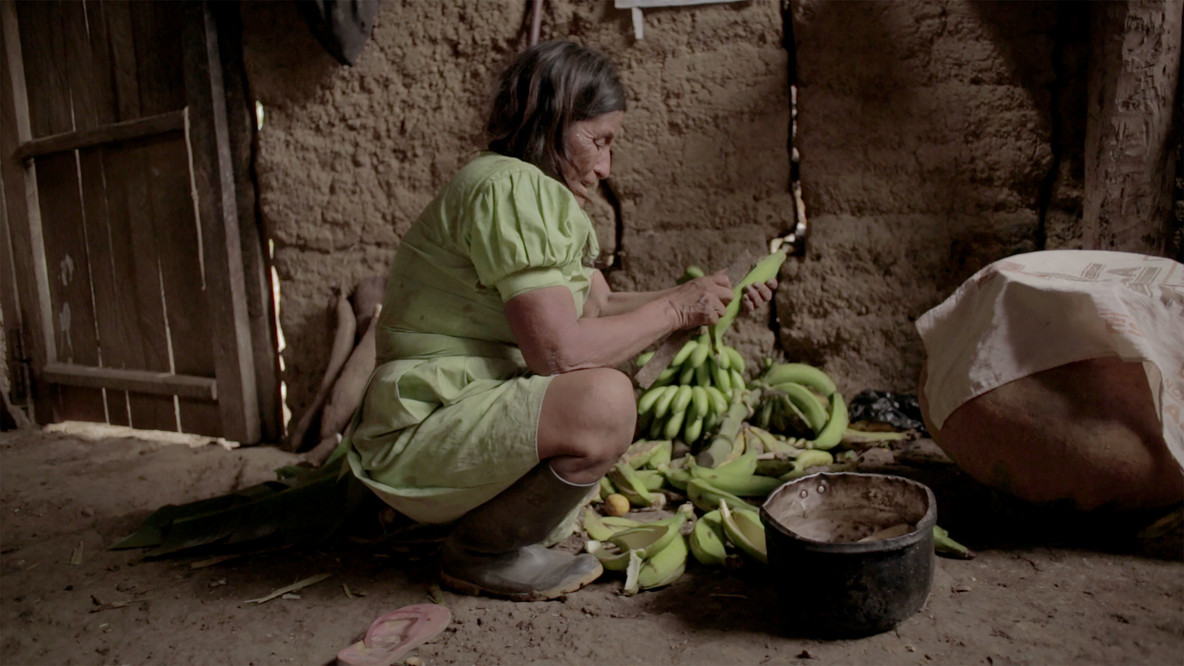 Rio Verde: El tiempo de los Yakurunas (Green River: The Time of the Yakurunas). 2017. Directed by Alvaro Sarmiento, Diego Sarmiento