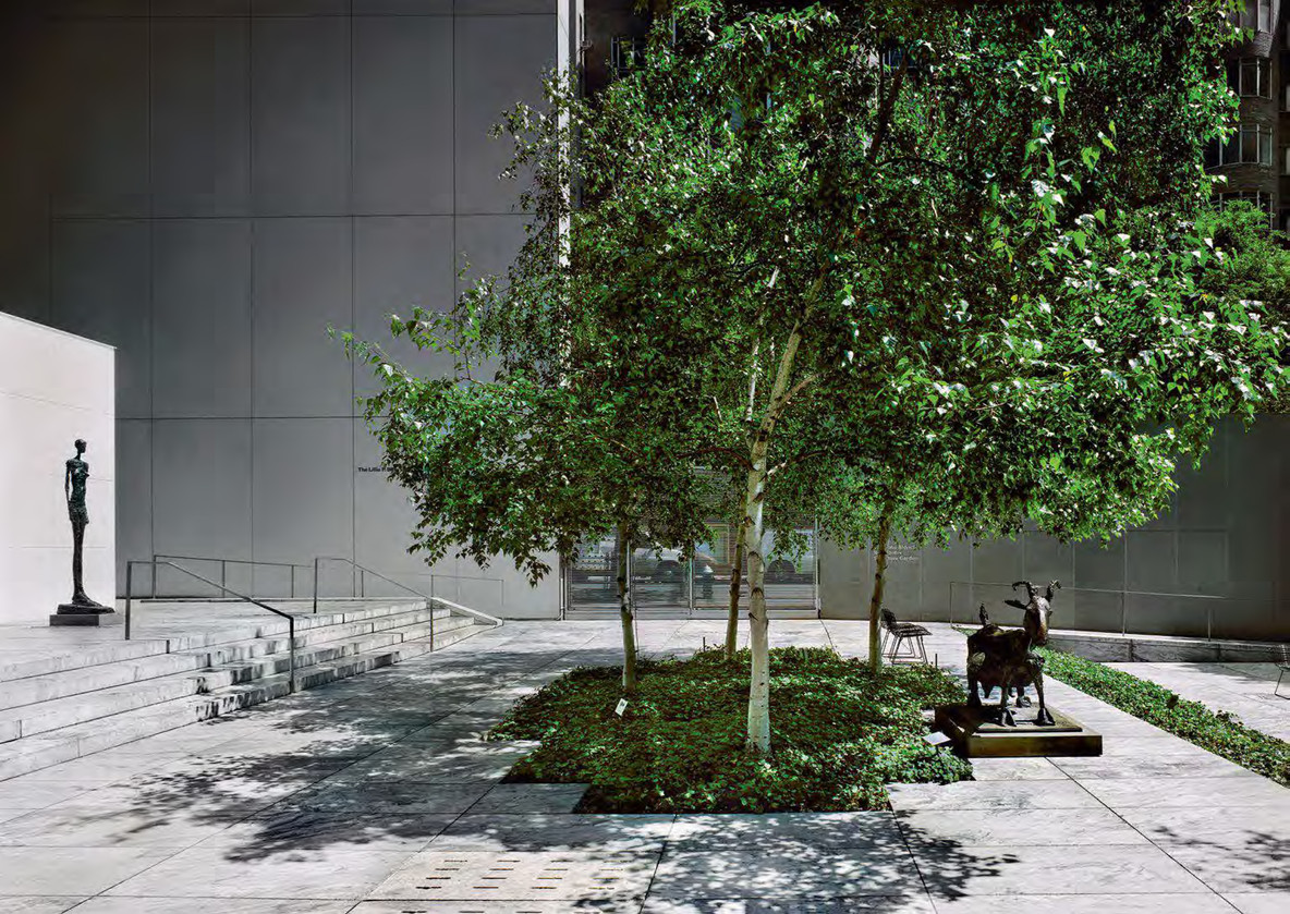 An image from a 2014 portfolio by Richard Pare, as seen in Oasis in the City