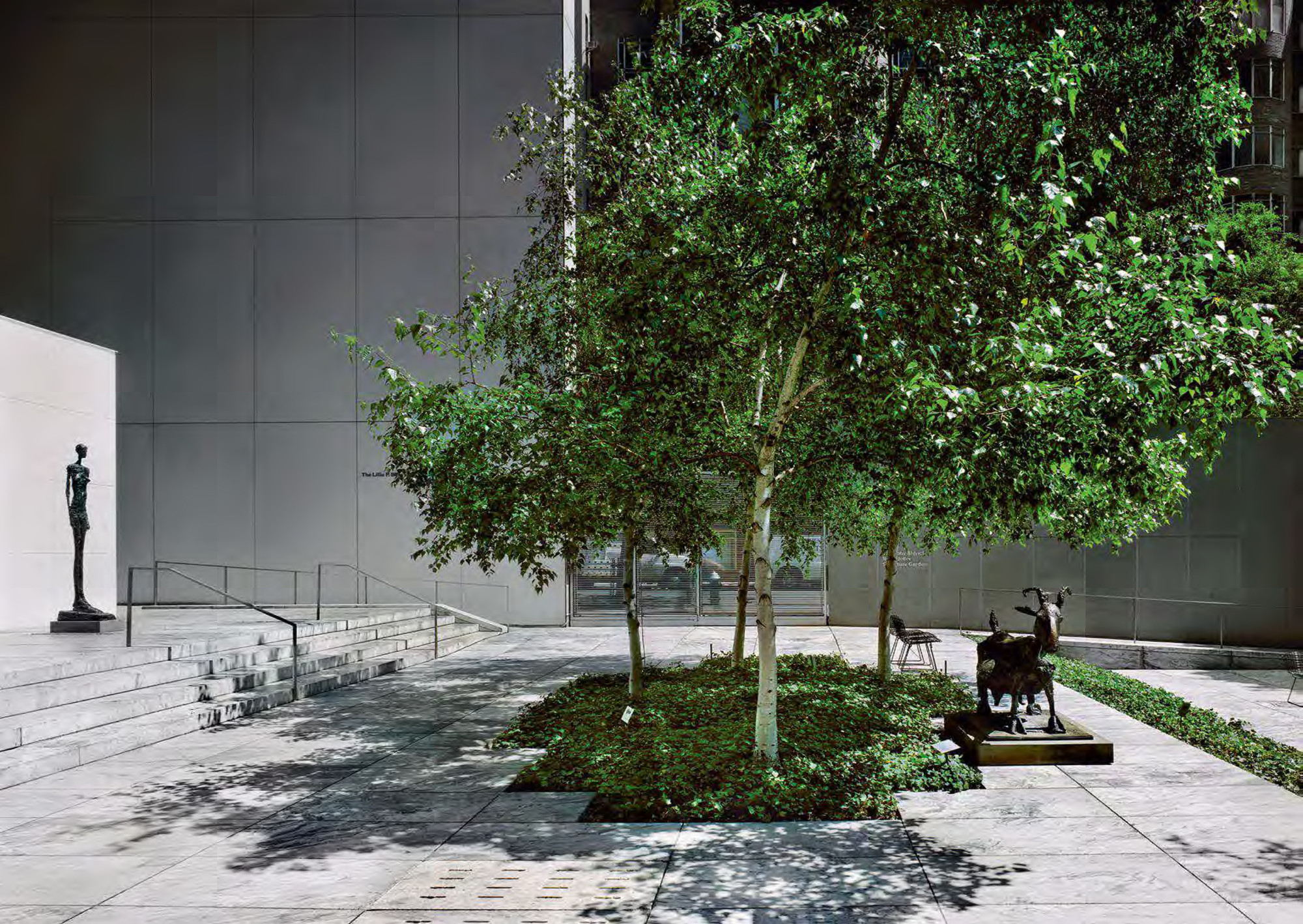 Belonging definition image