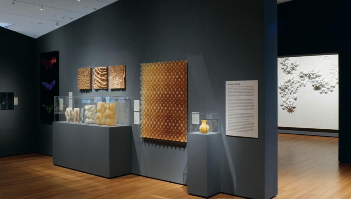 Installation view of Design and the Elastic Mind, The Museum of Modern Art, New York, February 24–May 12, 2008