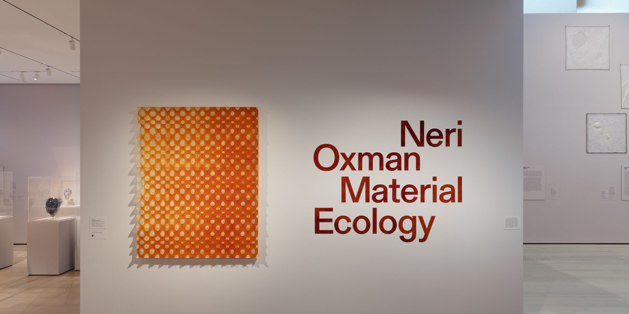 Installation view of Neri Oxman: Material Ecology, The Museum of Modern Art, New York, February 22–May 25, 2020. © 2020 The Museum of Modern Art. Photo: Denis Doorly