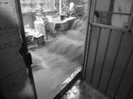 Maria Thereza Alves. The Return of a Lake. 2012. Mixed media installation. Courtesy the artist