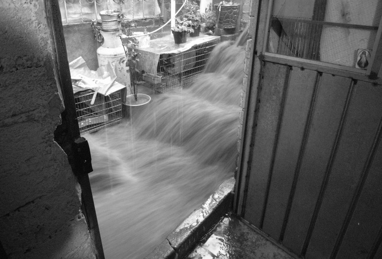 Maria Thereza Alves. The Return of a Lake. 2012. Mixed media installation. Courtesy the artist