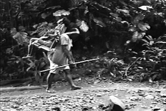 José Alejandro Restrepo. Paso del Quindío II. 1999. Captura de vídeo
