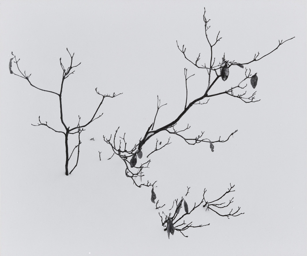 Don Worth. Winter, Yosemite. 1957