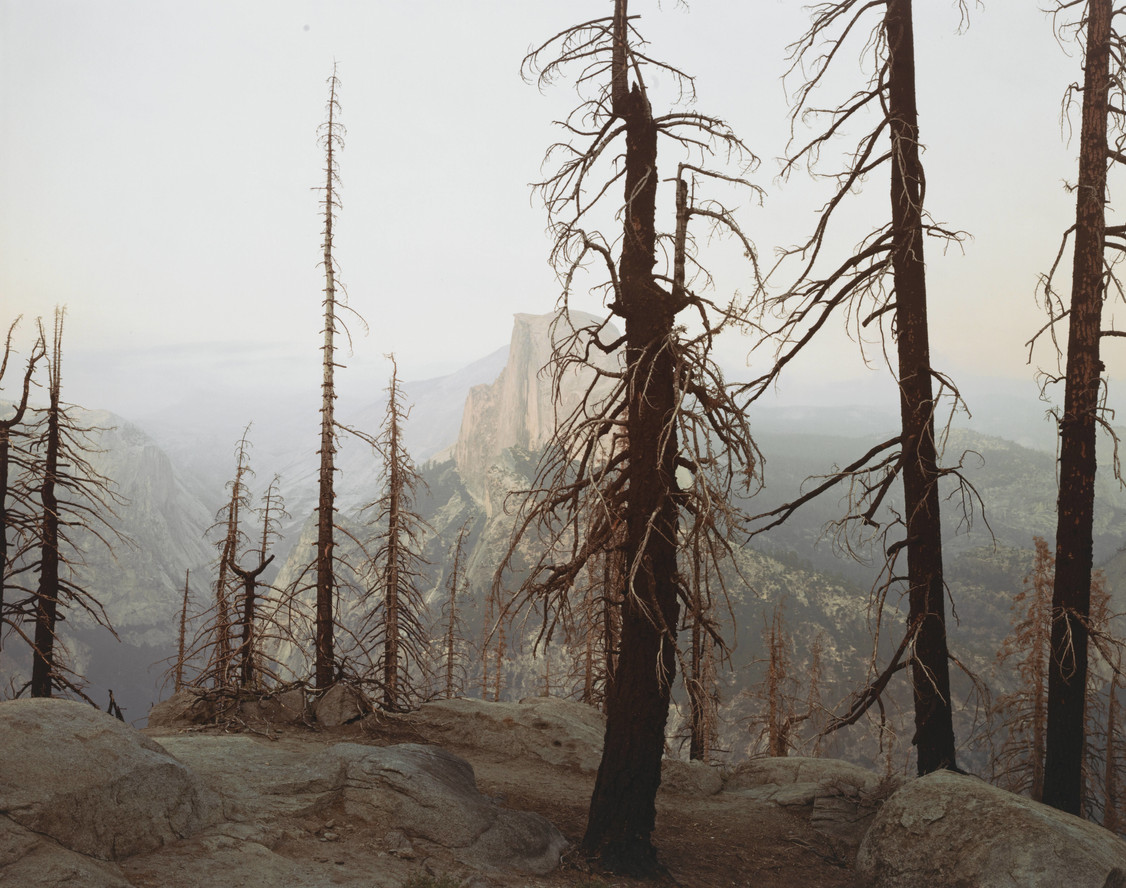 Richard Misrach. Burnt Forest and Half Dome, Yosemite. 1988