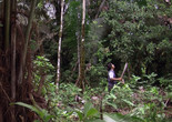 Ursula Biemann. Forest Law. 2014. HD Video. 38 minutes.