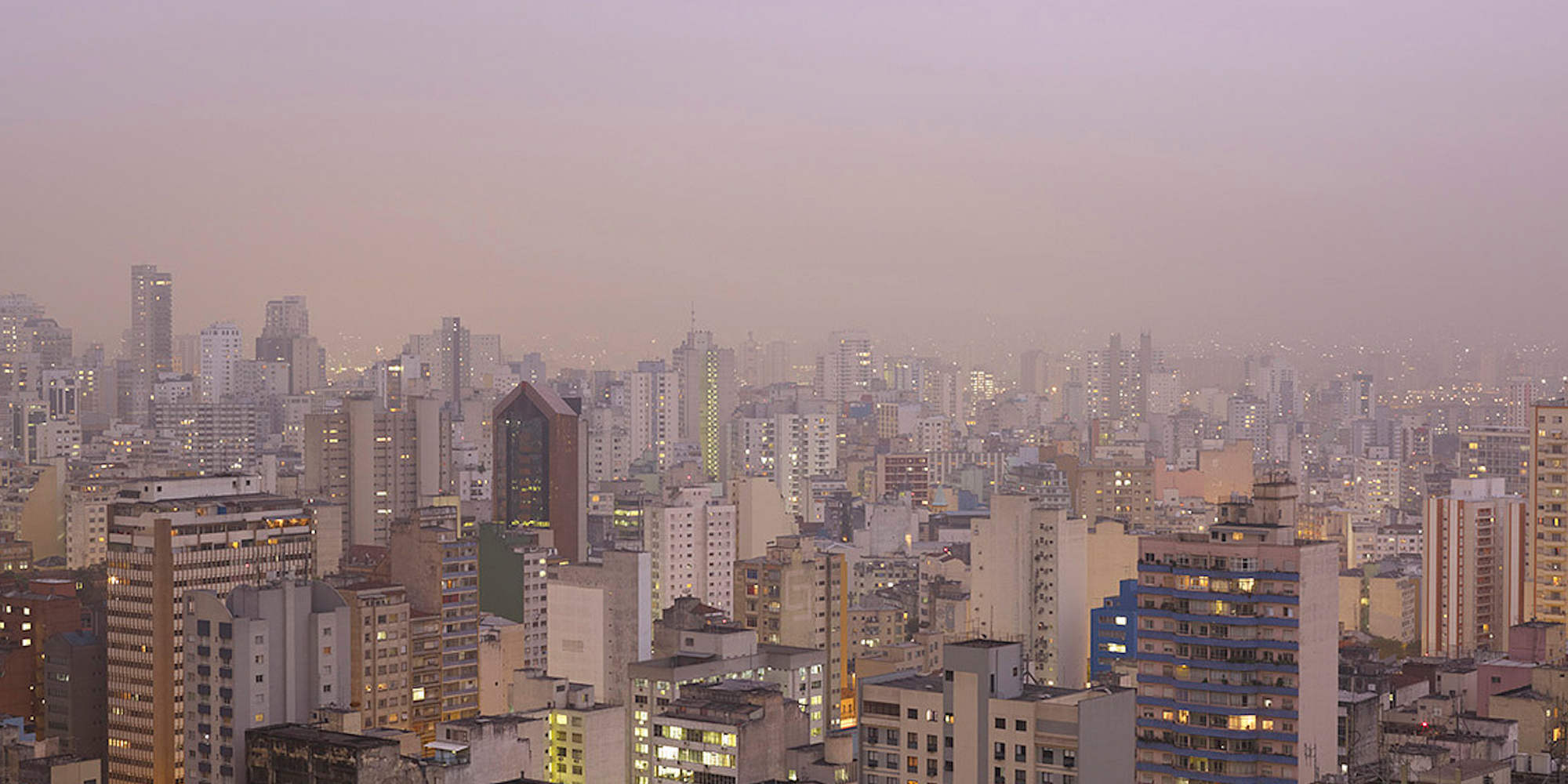 Suwon Lee. Purple Haze. 2011. Pigmented inkjet print, 36 1/4 × 47 1/4" (92 × 120 cm). Promised gift of Patricia Phelps de Cisneros through the Latin American and Caribbean Fund in honor of Clara Rodríguez-Cisneros. © 2020 Suwon Lee