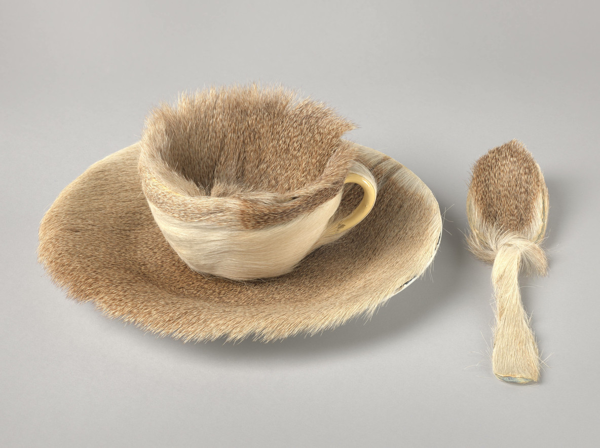 Meret Oppenheim. Object. 1936