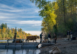 First Cow. 2020. USA. Directed by Kelly Reichardt. Courtesy A24